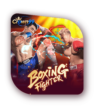 Boxing Fighter