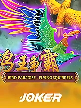 Bird Paradise